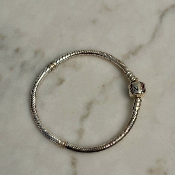 Pandora Charm Bracelet - Picture 1 of 2